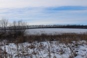 IMG_1126 (Копировать).JPG