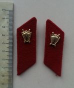 IMAG3121.jpg