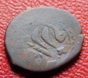 DSCN5670.jpg