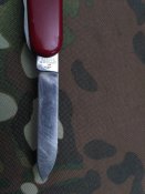 IMG_20170303_072958.jpg