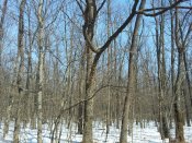 20170303_112811.jpg