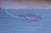 IMAG1245-1.jpg