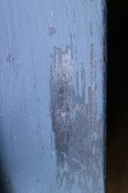 IMAG1246-1.jpg