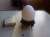 IMG_20170303_164955.jpg