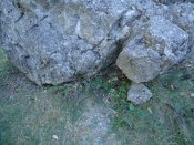 DSC00308.jpg