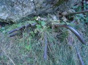 DSC00309.jpg