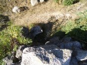 DSC00326.jpg