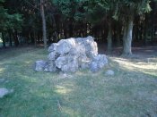 DSC00330.jpg