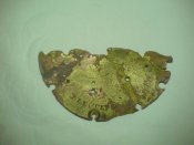 DSC00151.jpg