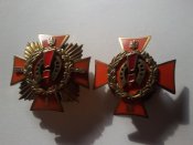redkij_proekt_ordena_geroj_oranzhevoj_revoljucii_2004_2005_gg_1_i_2_stepeni (3).jpg