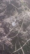 IMG_20170304_123840.jpg
