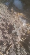 IMG_20170304_125621.jpg