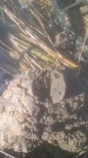 IMG_20170304_151353.jpg
