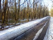 IMG_20170305_072753.jpg
