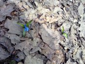 IMG_20170305_114224.jpg