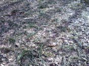 IMG_20170305_134050.jpg