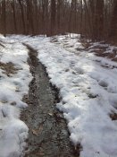 IMG_20170305_141852.jpg