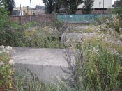 IMG_0050r.jpg