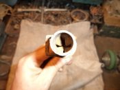 DSC01133.jpg