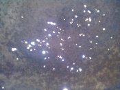 11112011480.jpg