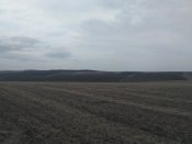 IMG_20170305_113840.jpg