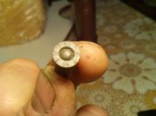 IMG_20170305_155918.jpg