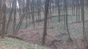 IMG_20170305_090529.jpg