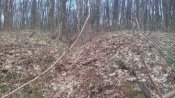 IMG_20170305_094637.jpg