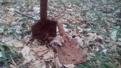 IMG_20170305_105527.jpg
