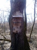 20170305-0001.jpeg