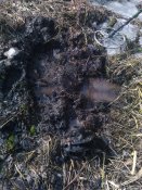 20170305-0005.jpeg