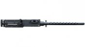 anm2-i.jpg