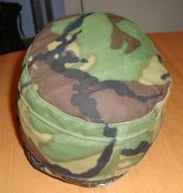DSC01875.JPG