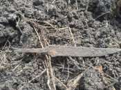 20170305_110438.jpg