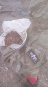 IMG_20170306_162451.jpg