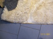 100_3183.jpg