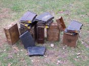 2cm_Boxes_1s-641x479.jpg