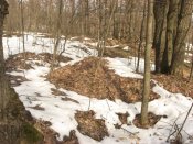 IMG_0128.JPG