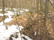 IMG_0129.JPG