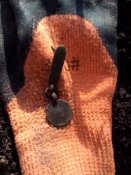 IMG_20170308_093810.jpg
