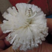 DSCN9041.jpg