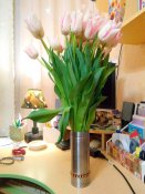 IMG_20170308_195044.jpg