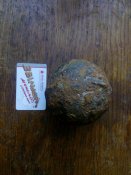 IMG_20170309_151329.jpg