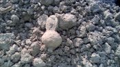IMG_20170309_163741.jpg