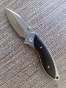 нож Buck Alpha Dorado ( 270bksb )