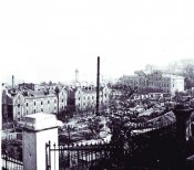 10_17_octombrie__ard_docurile.jpg