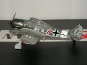 DSCN9446.JPG