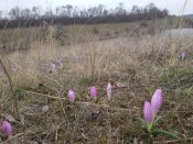 20170311_093745.jpg