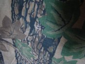 DSC08140.JPG