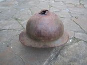 zo-2.jpg
